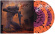 Disentomb - Decaying Light Disentomb - Decaying Light