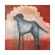 Charlie Parr - Dog Charlie Parr - Dog