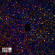 Uneven Structure - Paragon Uneven Structure - Paragon