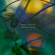 Rudy Adrian - Woodlands Rudy Adrian - Woodlands