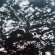 Grouper - Aia: Dream Loss Grouper - Aia: Dream Loss