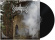 Dawn Rayd - Behold Sedition Plainsong Dawn Rayd - Behold Sedition Plainsong