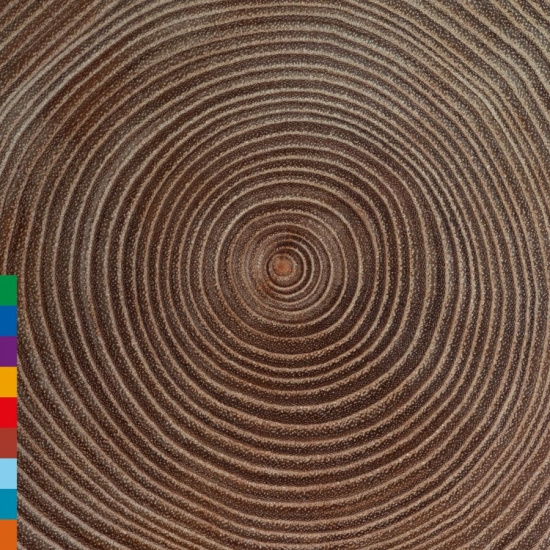 Ali Khan Amjad - Moksha