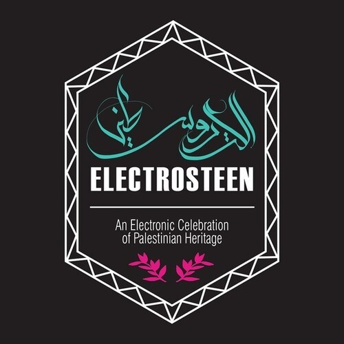 Blandade Artister - Electrosteen