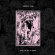Raspberry Bulbs - Before The Age Of Mirrors Lp Raspberry Bulbs - Before The Age Of Mirrors Lp