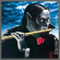 Mystery Kindaichi Band - Adventures Of Kindaichi Kosuke Mystery Kindaichi Band - Adventures Of Kindaichi Kosuke