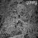 Saviours - Palace Of Vision Saviours - Palace Of Vision