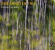 Arnesen Dag Trio - Inner Lines Arnesen Dag Trio - Inner Lines