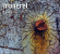 Mongrel - Taskenspill Mongrel - Taskenspill