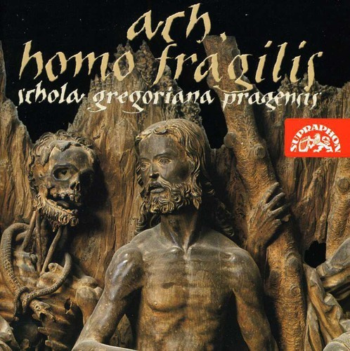 Various - Ach, Homo Fragilis