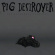 Pig Destroyer - Octagonal Stairway Pig Destroyer - Octagonal Stairway