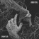 Umbra Vitae - Shadow Of Life Umbra Vitae - Shadow Of Life