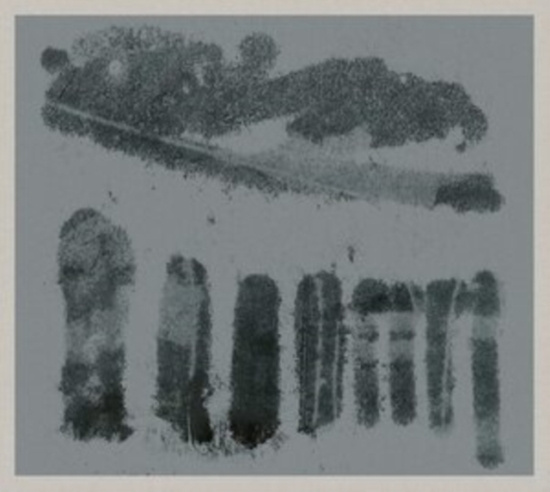 Wells Bill - Viaduct Tuba Trio Plays The Music O