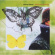 Ellman Liberty - Ophiuchus Butterfly Ellman Liberty - Ophiuchus Butterfly