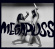 Megapuss - Surfing Megapuss - Surfing