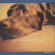 Matt Jorgensen - Hope Matt Jorgensen - Hope