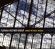Hoefner Florian -Group- - Songs Without Words Hoefner Florian -Group- - Songs Without Words