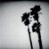 Twilight Singers - Blackberry Belle Twilight Singers - Blackberry Belle