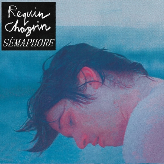 Requin Chagrin - Sémaphore