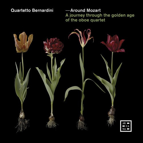 Various - Around Mozart - A Journey Through T