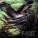 Moat - Poison Stream Moat - Poison Stream