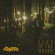 The Hawkins - Live In The Woods 12Ö The Hawkins - Live In The Woods 12Ö