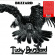 Tucky Buzzard - Buzzard Tucky Buzzard - Buzzard
