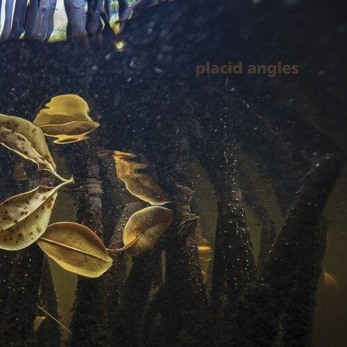 Placid Angels - Touch The Earth (3X12