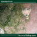 Standard Unit - Art Of Falling Apart Standard Unit - Art Of Falling Apart