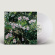 Jess Locke - Don't Ask Yourself Why (Clear Vinyl) Jess Locke - Don't Ask Yourself Why (Clear Vinyl)