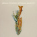 Stevens Becca - Becca Stevens / Attacca Quartet Stevens Becca - Becca Stevens / Attacca Quartet