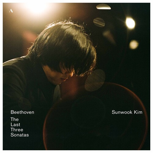 Beethoven Ludwig Van - The Last Three Sonatas (Cd)