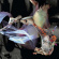 Parallel Worlds & Dave Bessell - Dystopia Parallel Worlds & Dave Bessell - Dystopia