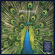 Bluetones - Expecting To Fly - 25Th Anniversary Bluetones - Expecting To Fly - 25Th Anniversary