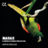 Marais Marin - La Rêveuse Et Autres Pièces De Viol Marais Marin - La Rêveuse Et Autres Pièces De Viol