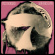 Whitehorse - Modern Love Whitehorse - Modern Love