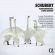 Schubert Franz - Schubert & Mendelssohn: Works Schubert Franz - Schubert & Mendelssohn: Works