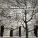Armida Quartett - Armida Plays Beethoven & Shostakovich Armida Quartett - Armida Plays Beethoven & Shostakovich