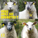 Various - Vous Avez Dit Brunettes? Various - Vous Avez Dit Brunettes?