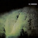 23 SKIDOO - CULLING IS COMING 23 SKIDOO - CULLING IS COMING