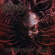 Stabbing - Ravenous Psychotic Onslaught Stabbing - Ravenous Psychotic Onslaught