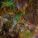 Worm - Foreverglade (Green) Worm - Foreverglade (Green)