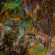 Worm - Foreverglade Worm - Foreverglade