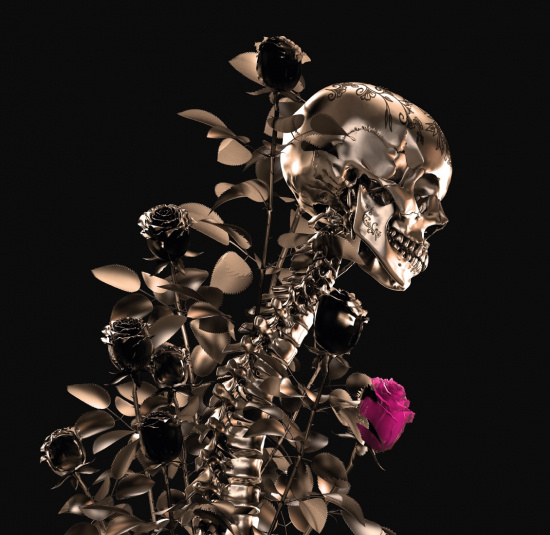 Black Paisley - Rambler (Vinyl Lp)