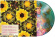 Calvin Harris Feat. Tom Grenna - By Your Side Calvin Harris Feat. Tom Grenna - By Your Side