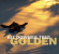Downes Kit - Golden Downes Kit - Golden