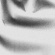 MANCHESTER COLLECTIVE - SHADES MANCHESTER COLLECTIVE - SHADES