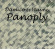 Wayne Hayden & Jason Damico - Panoply Damico & Wayne Wayne Hayden & Jason Damico - Panoply Damico & Wayne