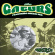 Gaturs - Wasted Gaturs - Wasted