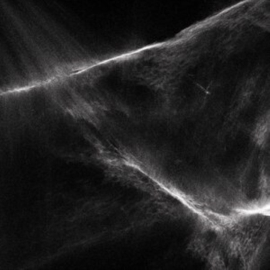 Final Light - Final Light (White/Black Splatter V